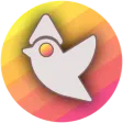 Birday icon