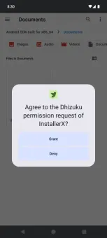 Dhizuku screenshot 2