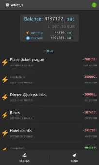 Electrum Bitcoin Wallet screenshot 1