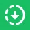 Install with Options icon