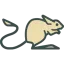 Jerboa for Lemmy icon