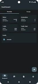 sing-box screenshot 1
